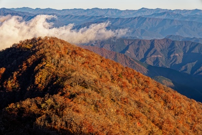 檜洞丸・つつじ新道の登山計画｜ゴーラ沢渡渉とシロヤシオの稜線