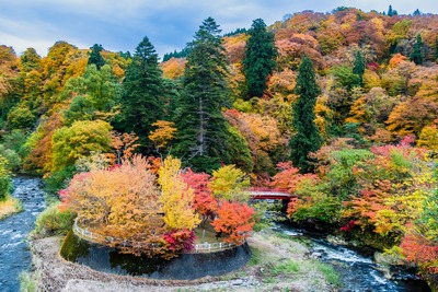 中野もみじ山を彩る歴史と渓流｜中野神社・巨木と紅葉の見方