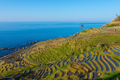 石川・能登半島｜絶景ドライブと里山文化を満喫する旅