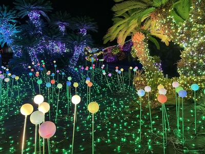 伊豆ぐらんぱる公園の遊び方｜立体迷路・カート・無料遊具を選ぶ