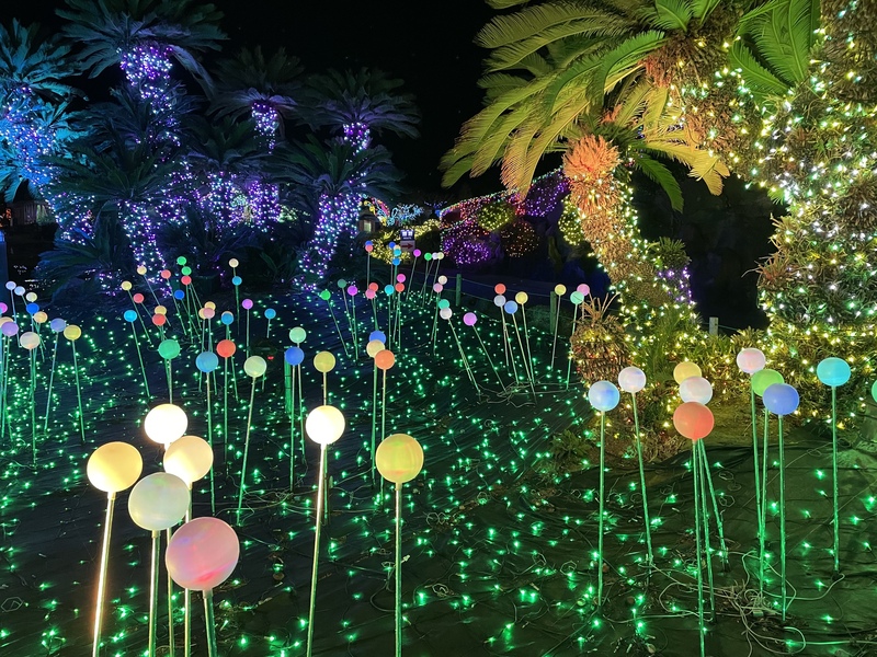 伊豆ぐらんぱる公園の遊び方｜立体迷路・カート・無料遊具を選ぶ