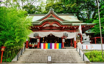熱海・來宮神社と大楠に刻まれた時間｜来福・縁起の信仰と境内参拝