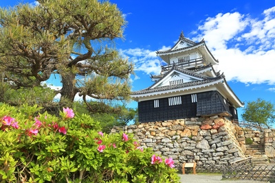 浜松城の歴史を石垣から読む｜徳川家康・堀尾吉晴と復興天守