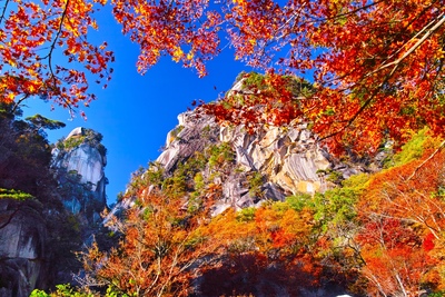 秋の山梨観光おすすめ10選｜新倉山浅間公園と秋の富士山