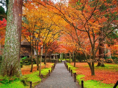 京都の紅葉ドライブおすすめ10選｜高雄・大原・美山の山里へ