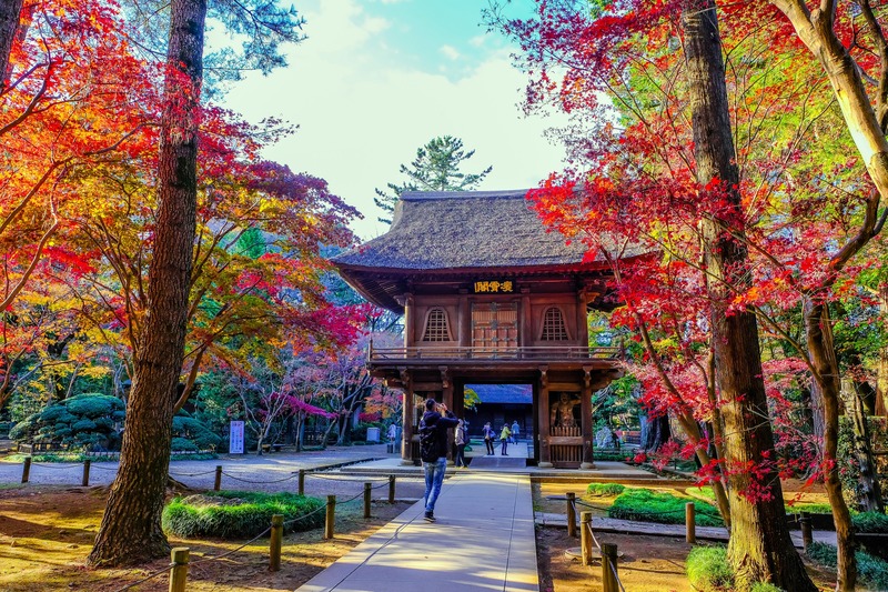 10 Saitama Fall Spots | Nakatsu, Kuroyama & Nagatoro