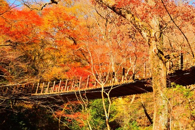 茨城の紅葉スポットおすすめ10選｜花貫渓谷・袋田の滝・竜神大吊橋