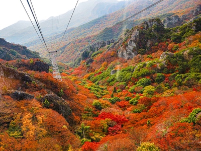 香川の紅葉スポットおすすめ10選｜寒霞渓・根香寺・栗林公園の見頃