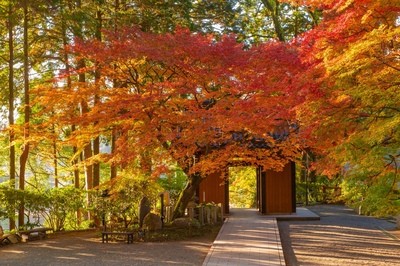 佐賀の紅葉スポットおすすめ10選｜大興善寺・御船山楽園・九年庵
