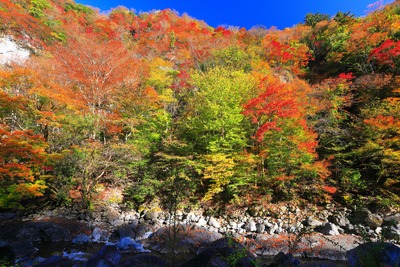 Kochi Fall Foliage: 10 Spots | Todoroki Falls