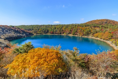 宮崎の紅葉スポットおすすめ10選｜高千穂峡・綾の照葉樹林の秋景色