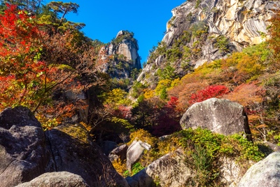 山梨の紅葉スポットおすすめ10選｜昇仙峡・西沢渓谷・河口湖の見頃