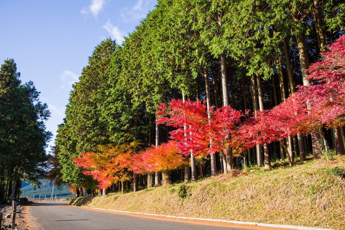 三重の紅葉スポットおすすめ10選｜赤目四十八滝・香落渓の見頃 | JeePe