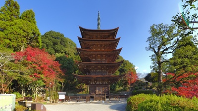 山口の紅葉スポットおすすめ10選｜長門峡・大寧寺・錦帯橋の見頃