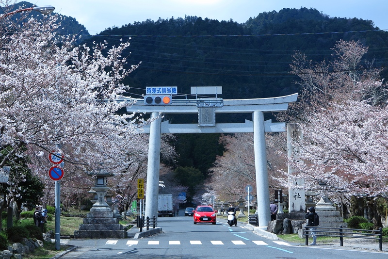 滋賀車なし観光スポット10選｜大津駅・近江八幡駅から行きやすい名所