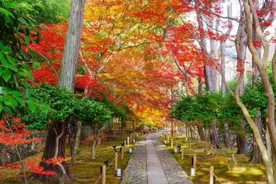 京都の穴場スポット10選｜静かな社寺と町