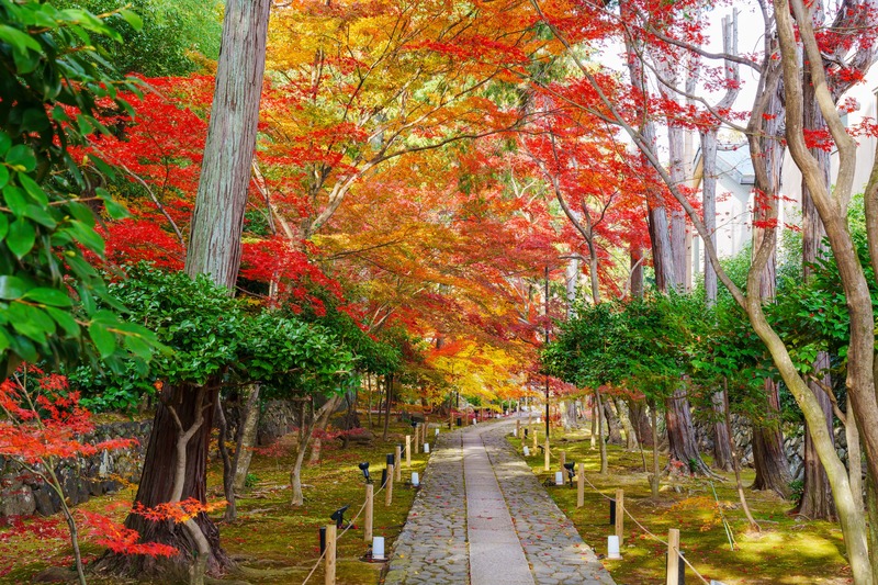 京都の穴場スポット10選｜静かな社寺と町