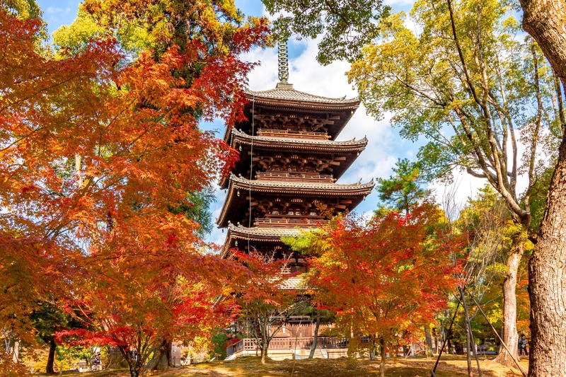 秋の京都1泊2日モデルコース｜東山・嵐山の紅葉を効率よくめぐる