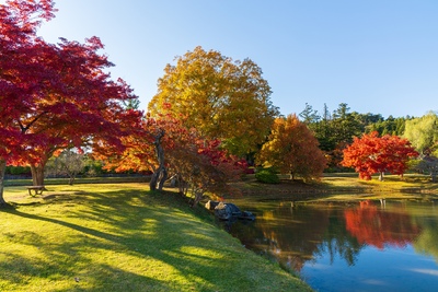 秋の岩手1泊2日モデルコース｜八幡平の紅葉と平泉・中尊寺