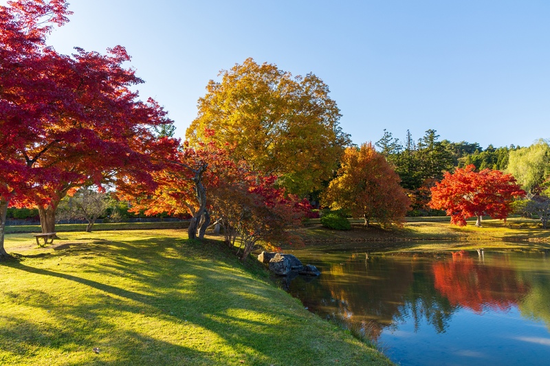 秋の岩手1泊2日モデルコース｜八幡平の紅葉と平泉・中尊寺