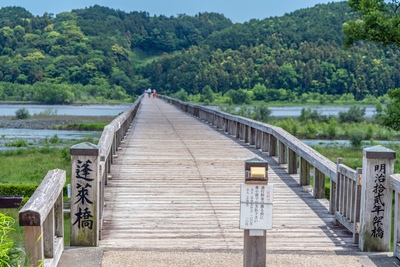 蓬莱橋を渡る前に知っておきたい川景色の眺め方と散策の準備