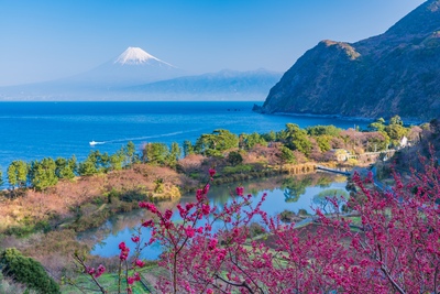 沼津・井田の明神池の景色を楽しむ｜富士山の眺望と水辺の散策を計画