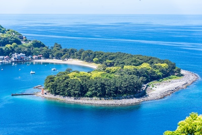 沼津・戸田の御浜岬で海と松林に親しむ｜風景の眺め方と無理のない砂浜散策