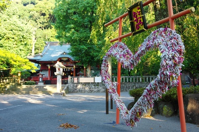 伊豆山神社は海と山を結ぶ参拝へ｜石段の備えと境内の巡り方