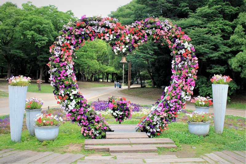 長居植物園は季節の景色を選んで巡る｜専門園と歴史の森を観察