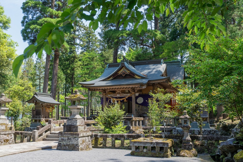 宇奈岐日女神社で六所宮の由緒へ｜杉の境内と御神木の記憶