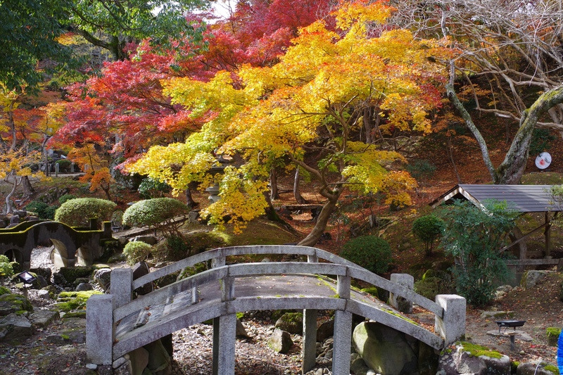 尾関山公園は桜と紅葉を歩いて見る｜展望台と歴史の痕跡をたどる