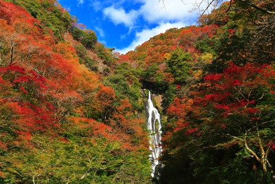 神庭の滝は水の流れを段階で見る｜玉垂の滝から主瀑へ歩く