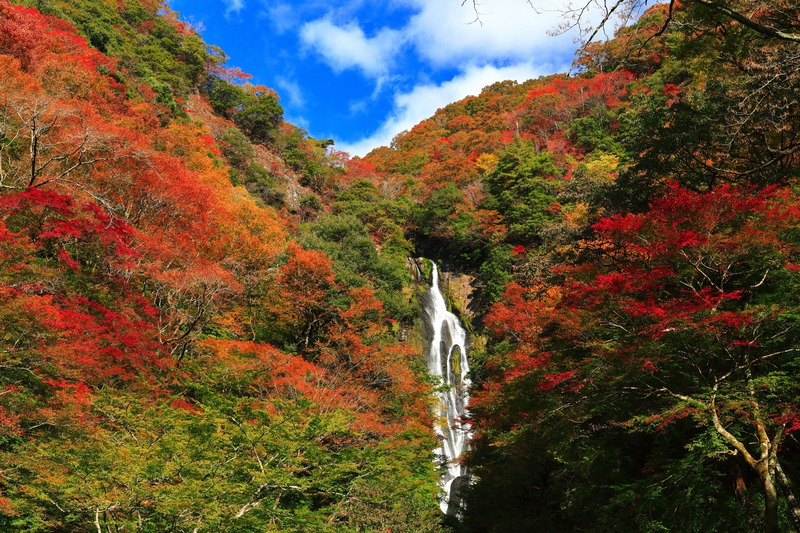 神庭の滝は水の流れを段階で見る｜玉垂の滝から主瀑へ歩く