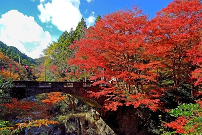 Valle Kochi en Tsu: agua, arces y luz desde el puente Oshida