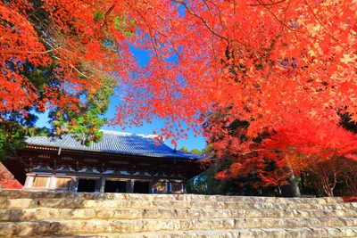 高雄の神護寺で山寺の時間へ｜楼門・金堂・かわらけ投げをたどる