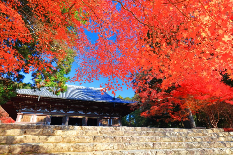高雄の神護寺で山寺の時間へ｜楼門・金堂・かわらけ投げをたどる