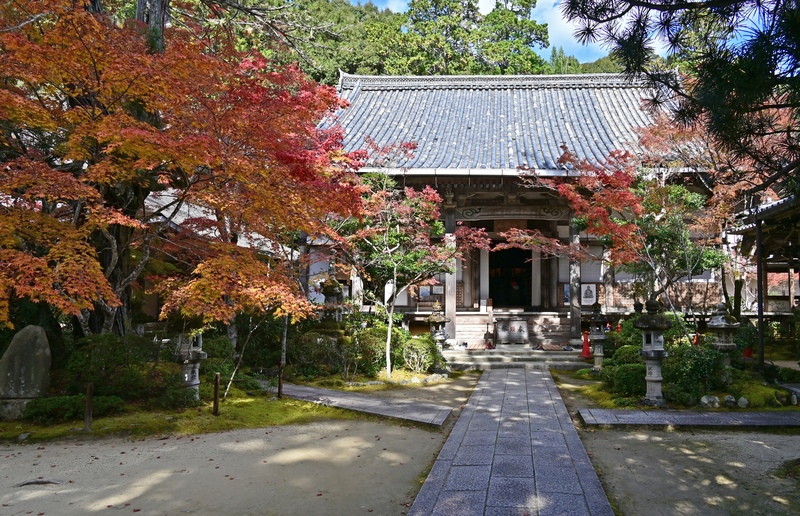 槙尾の西明寺は朱橋から巡る｜本堂・庭・四季の静けさを味わう