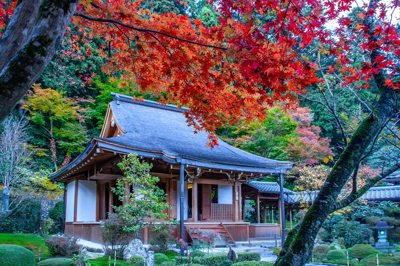 大原・寂光院は石段の先で読む｜平家物語と庭の記憶をたどる