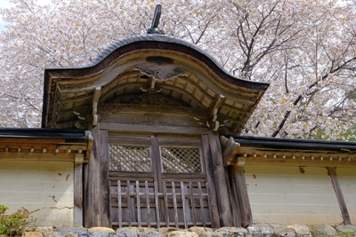 常照皇寺の庭を静かに観賞｜山門の奥に重なる木立と季節の色