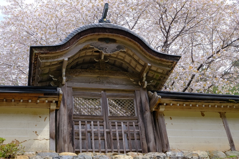 常照皇寺の庭を静かに観賞｜山門の奥に重なる木立と季節の色