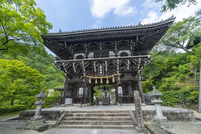 善峯寺の眺望と遊龍の松｜山寺の起伏に合わせて楽しむ参拝と四季