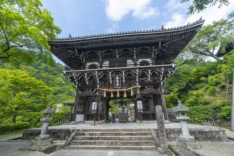 善峯寺の眺望と遊龍の松｜山寺の起伏に合わせて楽しむ参拝と四季