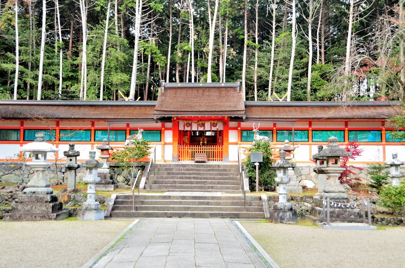 大原野神社で鯉沢の池と社殿を見比べる｜参道の緑と四季の色を静かに味わう