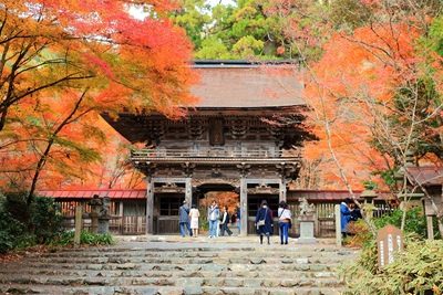 大矢田神社は楼門から社殿へ｜ヤマモミジの谷と彫刻を味わう