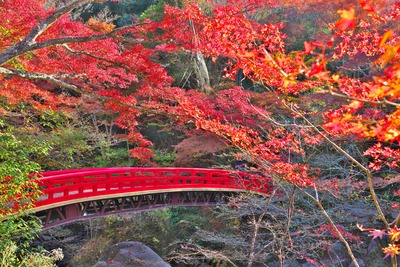 岩屋堂公園は川沿いから滝へ｜岩の祠と四季の渓谷を歩く