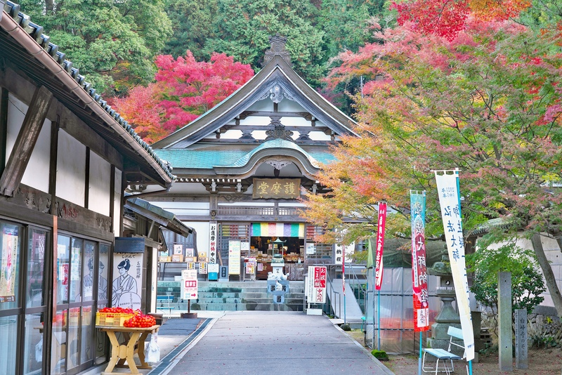 白峯寺は七棟門から本堂へ｜五色台で巡礼文化と紅葉を味わう