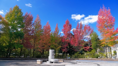 Parque Kagawa Yosui: historia del agua, arces y arroyos