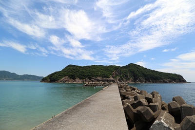 宮崎・幸島のニホンザルを観察｜イモ洗い文化と渡船の注意点を解説