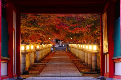 兵庫・丹波の高山寺へ｜山上に始まる由緒と紅葉の参道、石仏を巡る