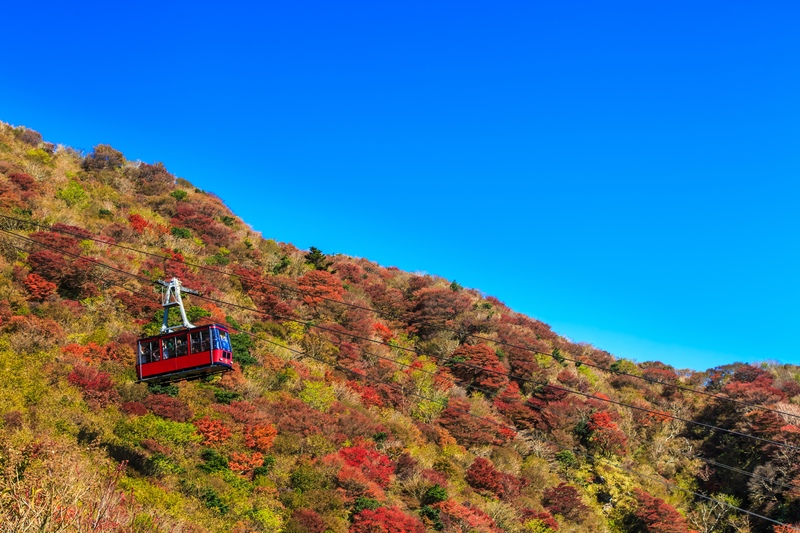 仁田峠で景色と向き合う｜天候に合わせる眺望と撮影の楽しみ方